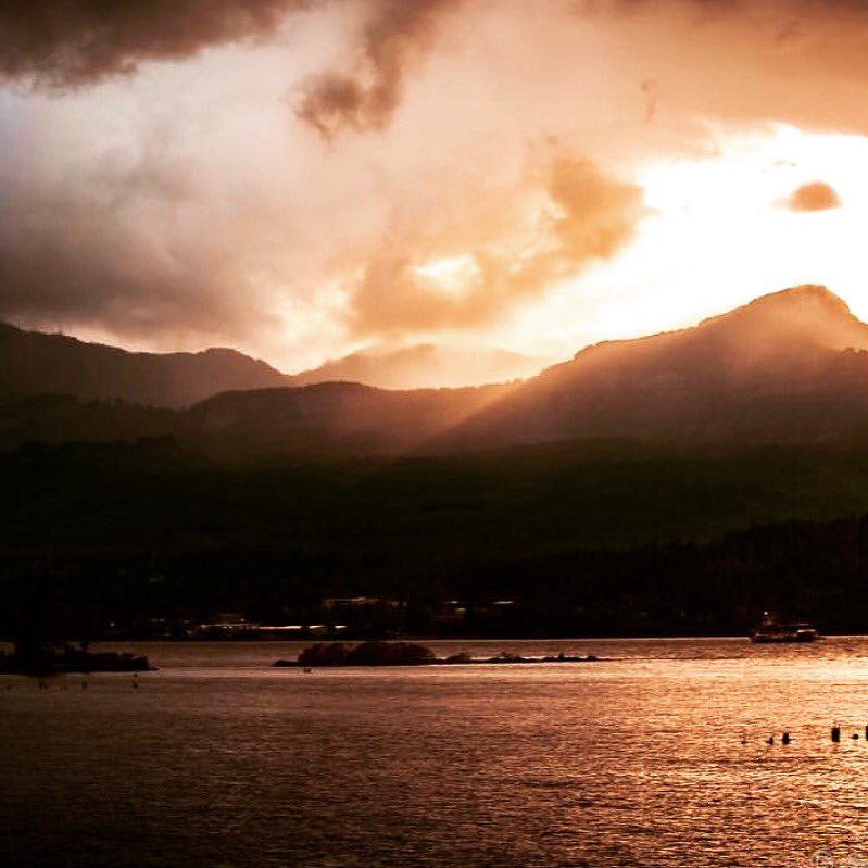 W2WCruises's tweet photo. The Columbia River is so beautiful it blows us away! 🌊🛥 https://t.co/2cQZd2cNWP
