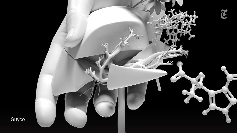 NYTScience's tweet photo. Behold the liver, the astonishing blob that runs your body https://t.co/b2Lg5VJTVn https://t.co/lypBwL35u8