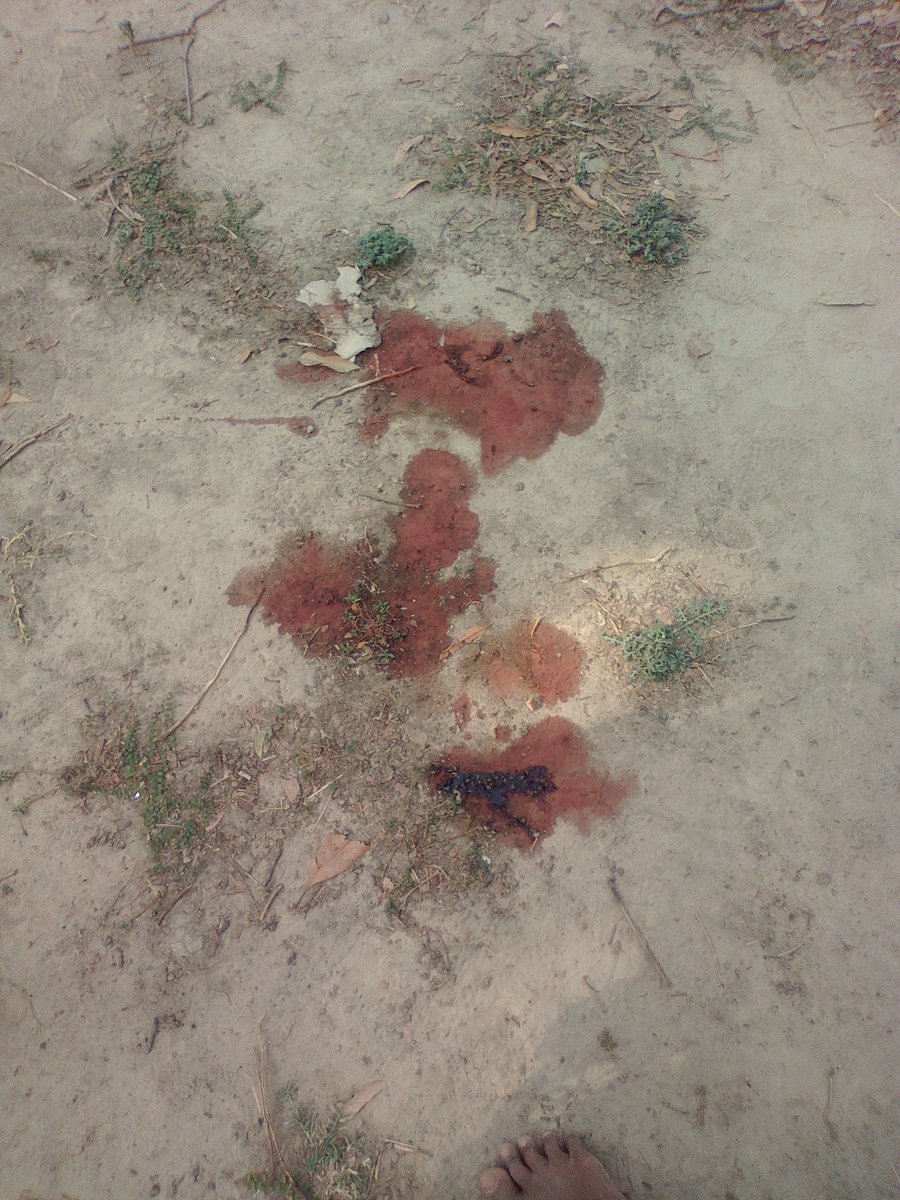 Global_BOYMohit's tweet photo. #ViralNews , A man got muddered in Vairi Visa , bhadohi , Uttar Pradesh , India ,   four person in custody , the scene of the the place ... https://t.co/ANKgVtlqUa