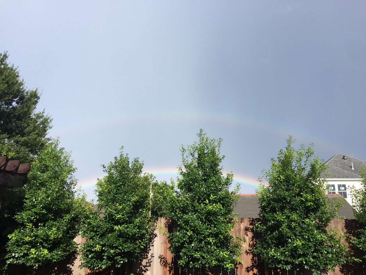 Michelle Marie tweet media