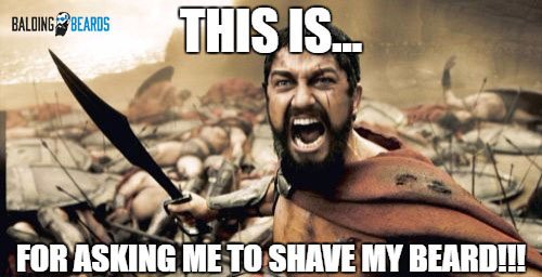 BaldingBeards's tweet photo. Revenge of the #beards https://t.co/XkMwUEuhbF