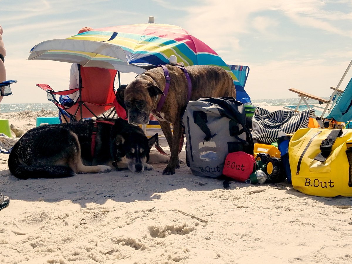 B_Out_Life's tweet photo. https://t.co/oZfLLbbt7M #beach #beachlife #summer #VacationEdition #waterproof #doglovers #Sandproof #fun #backpacking #backpack #protect https://t.co/ekwUqgnDSX