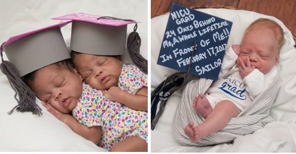 BuzzFeed tweet media