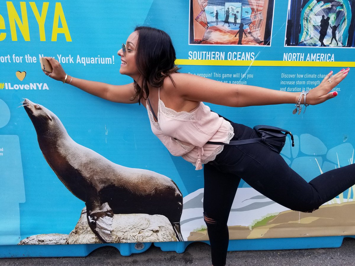 Yoga with sea lions!!  #teambuilding #OneNYNJ #LifeAtATT #challengeaccepted #strongislandscavengerhunt #greatneck
