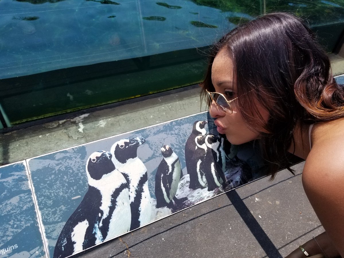 Penguin kissing! Well, kind of. :-)

 #teambuilding #OneNYNJ #LifeAtATT #challengeaccepted #strongislandscavengerhunt