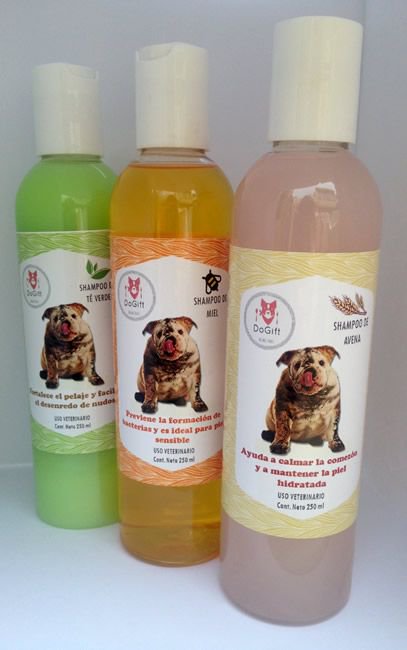 ConociendoPerro's tweet photo. Reseña del Shampoo para perros de @dogiftmx
https://t.co/L8q70F2aHy https://t.co/NBCZs6qzyB