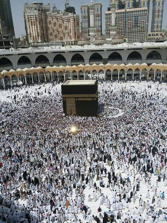 e62027b7bb4d47e's tweet photo. کہاں تیرا آستانہ _________کہاں میری سجدہ ریزی
تیرے در کے ہو جو قابل، وہ میں لاوں سر کہاں سے
#Waliii https://t.co/jM8HUsA8dB