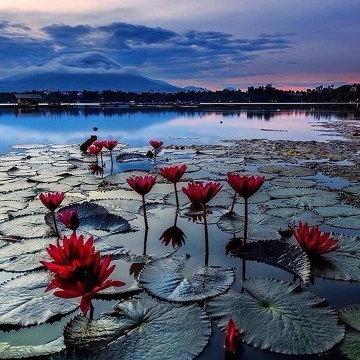 Photo via Instagram buff.ly/2s6jpTI