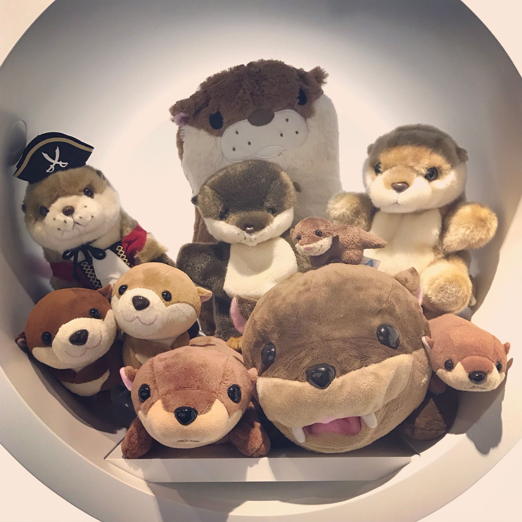 株式会社aqua公式 かわいいカワウソさんがたくさん ぬいぐるみ シロクマ ホッキョクグマ かわいい Follow いいね 水族館 ぬいどり ぬい撮り 株式会社aqua公式 かわいいカワウソさんがたくさん ぬいぐるみ シロクマ ホッキョクグマ かわいい Follow いいね 水族館 ぬいどり ぬい撮り