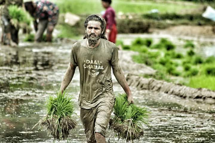 २०७४ जेष्ठ ३० का दिन दारी ग्याङ द्वारा आयोजित रोपाई कार्यक्रम भब्यताका साथ फर्पिङमा सफाल पारियो ।😍😍