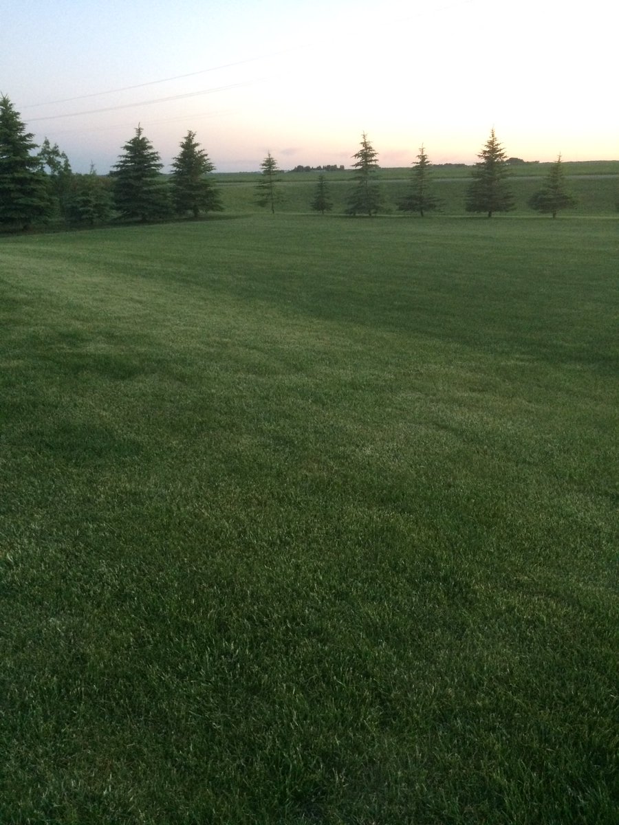 stainlessT12's tweet photo. Look what hydrahume does for my yard. Just think what it does for your crop! https://t.co/00DH7LJFSE