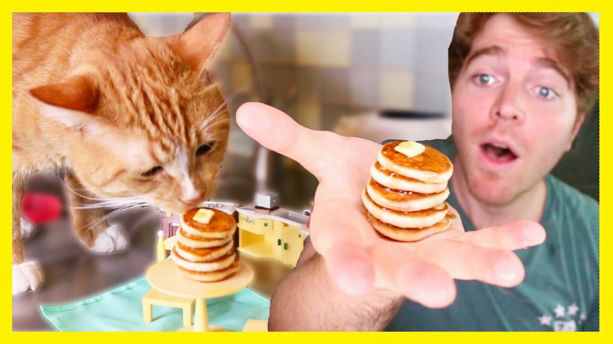 Shane Dawson on Twitter "check out todays new vid!! **MAKING TINY FOOD