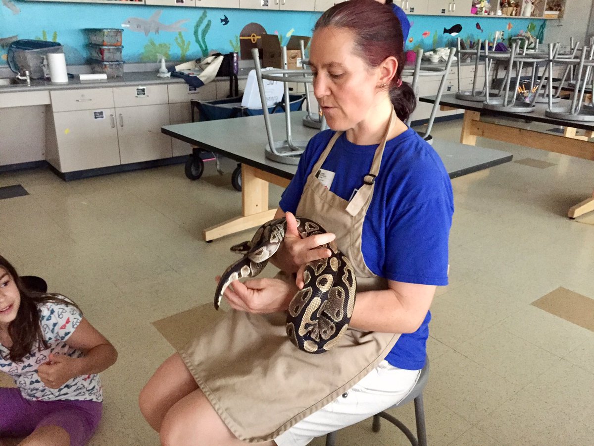 The class was intrigued by the python.  Most even gave her a gentle touch. #oakststories