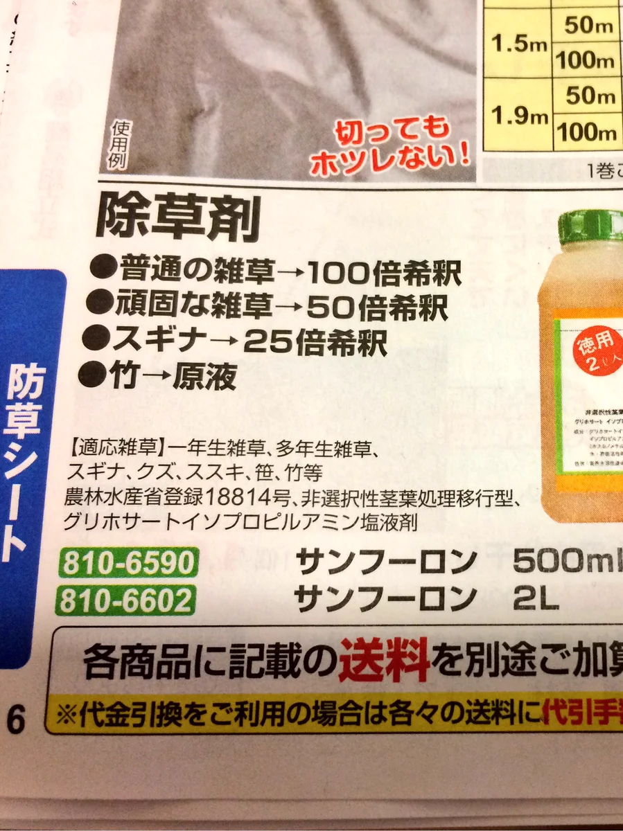 どんだけ強いの！？竹の半端ない威力を見られるのがこちらw