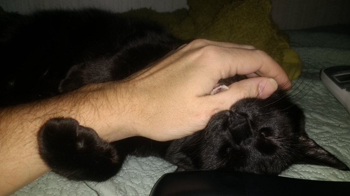 Mew Mew went to sleep biting me.