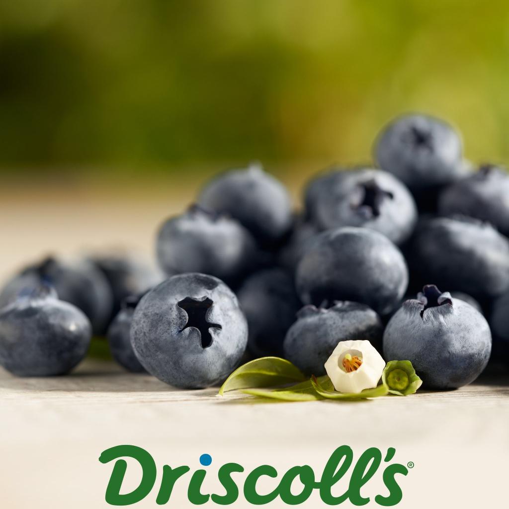 driscollsberry's tweet photo. Improving motor skills &amp; helping with memory loss: just 2 of the amazing powers of #blueberries! https://t.co/ksRXi3EOdb https://t.co/GjfWYovhIR