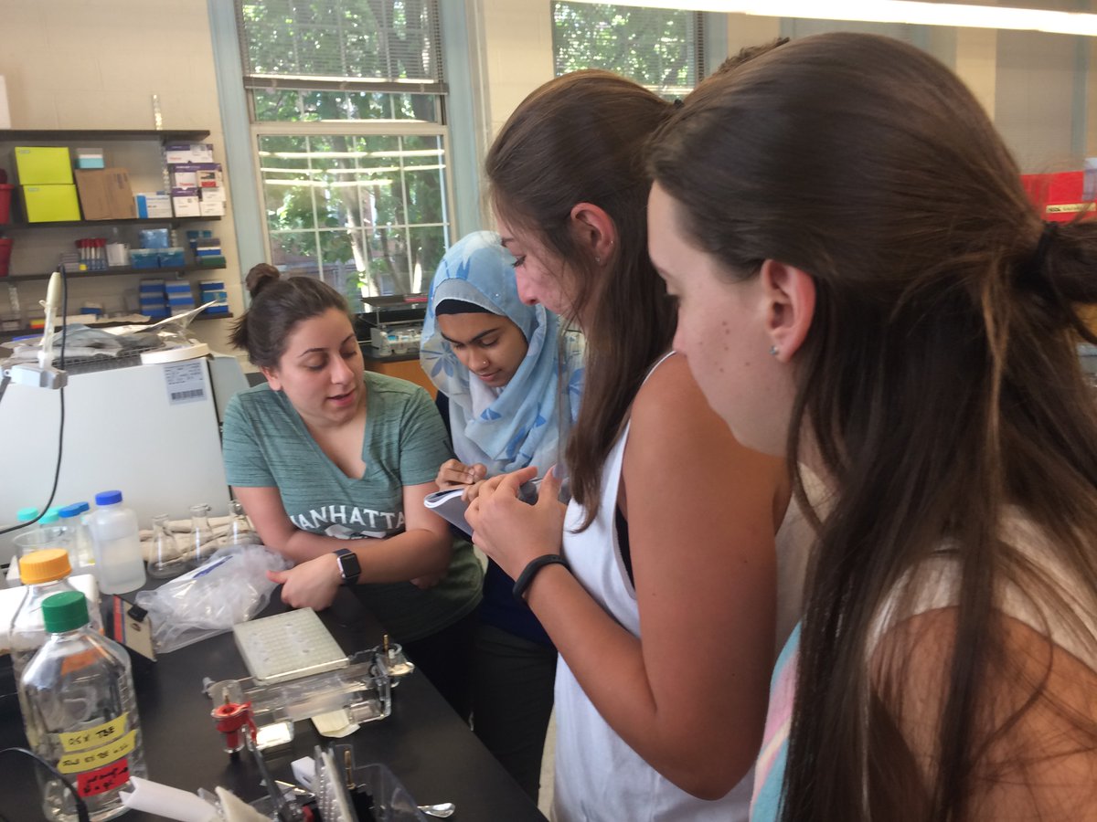 MC iGEM (@mc_igem) on Twitter photo Alora, Alexa, Farzana, Amanda and Brian, checking their digests. New biobricks? Challenge accepted! #iGEM2017 <a href="/ManhattanEdu/">Manhattan University</a> <a href="/GoJaspers/">Manhattan Jaspers</a> Alora, Alexa, Farzana, Amanda and Brian, checking their digests. New biobricks? Challenge accepted! #iGEM2017 <a href="/ManhattanEdu/">Manhattan University</a> <a href="/GoJaspers/">Manhattan Jaspers</a>