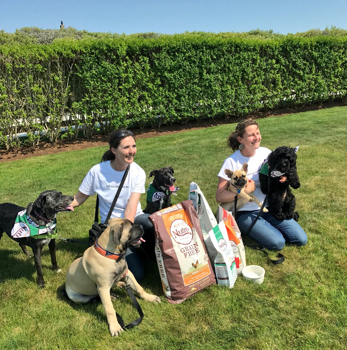 CerconeBrown's tweet photo. We had some special visitors today at #CBCsummerhouse.. thanks for the puppy love @NUTROBrand! https://t.co/f4wZQurR2Z