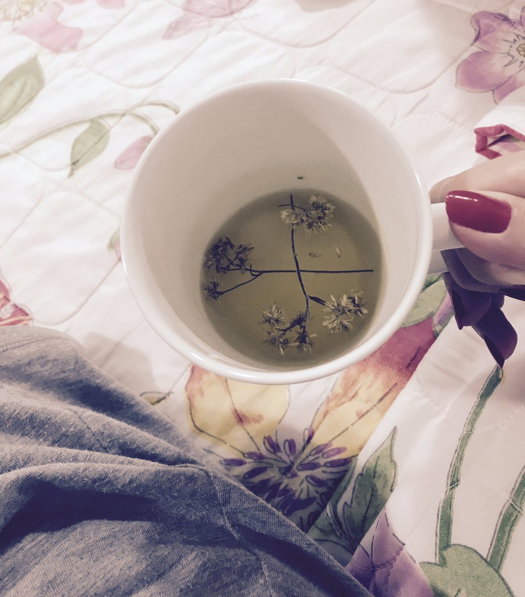 anyav's tweet photo. Tradições gaúchas de uma não gaúcha, apenas filha de gaúcha: chá de macela ☕️ #maceladocampo #macela #ChazinBom https://t.co/0nHmC0SVh7