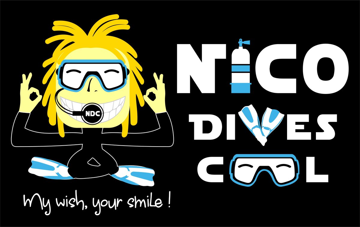 RoleFoundation's tweet photo. Nico Dives Cool is joining Clean Oceans Diveathon! #NicoDivesCool #ROLEFoundation #CleanOceansDiveathon #WatermansWeek #ZeroOceanWaste https://t.co/SGnCV7XzWh