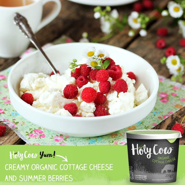 HolyOrganic's tweet photo. Today is the day! #WakeUpToOrganic with this delicious summer breakfast that uses our #organic Cottage Cheese. Yum! https://t.co/P6ljZ6fc0H