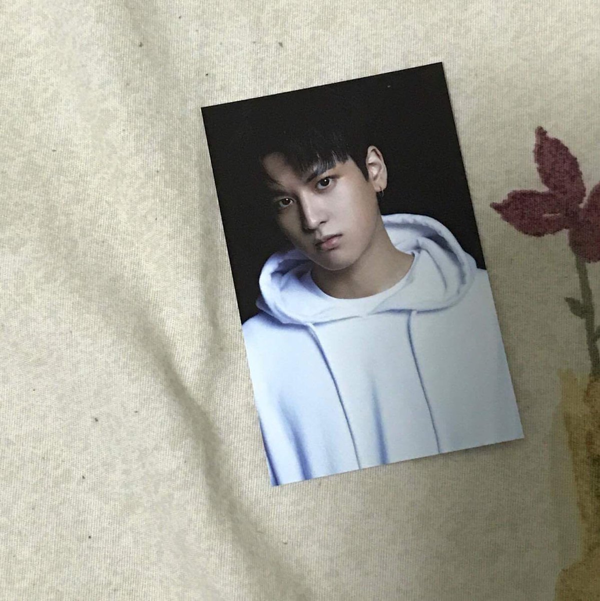 <a href="/ikontrading/">ikontrading</a> 

WTT
Have: Chanwoo Bold ver
Want: Bobby (priority), BI, Jinhwan Bold ver
Loc: Canada
WWT: yes