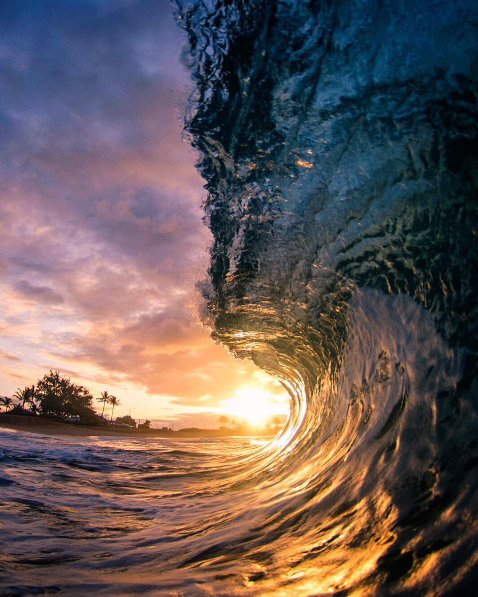 TokinaUsa's tweet photo. Tucking inside Tuesday! π @jake_of_all_trades π€π» #teamtokina #wavesafterwaves #aloha https://t.co/dV9dgq7hHg