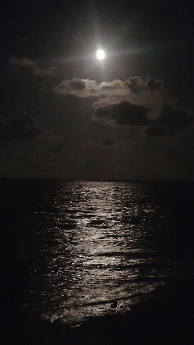 CaptainFishOn's tweet photo. A beautiful night on the dock of the Bay! https://t.co/PjCbirHsNs