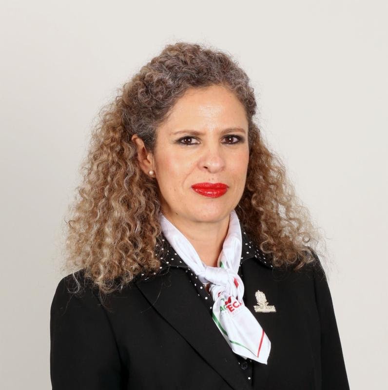 EnCompetencia's tweet photo. Investigación sobre presuntas irregularidades de servidores públicos se hace con estricto apego a la ley: Paula Rey
https://t.co/vFrYLDTVGn https://t.co/uqWv6hp6Qy