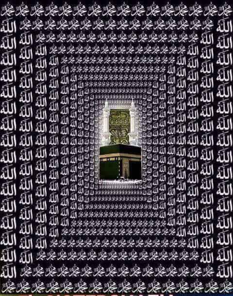 jamshaid Ali tweet media