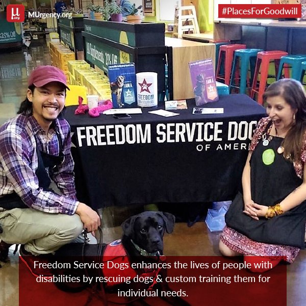 MUrgencyOrg's tweet photo. How You Can Make A Small Difference... Freedom Service Dogs https://t.co/DDqNasL6zK