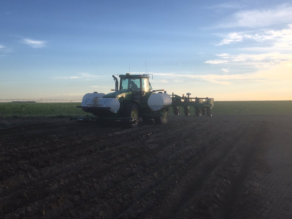 ajw545's tweet photo. #plant17 Fremont bean. Only commercial acre in production this year in the world. #foundationseed #wordenfarms https://t.co/r3ksPEGKRg