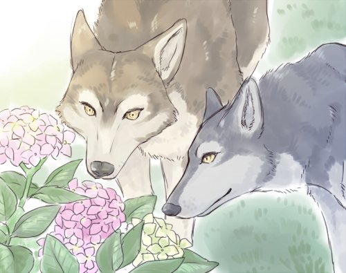 ハンクのtwitterイラスト検索結果 古い順