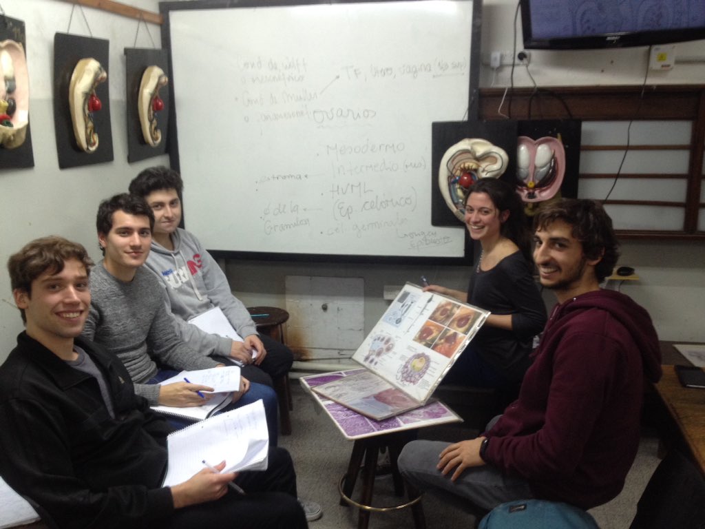 ezeqvarela's tweet image. Clase con relación docente-alumno ideal! #EmbrioCat1 @UBAMedicina