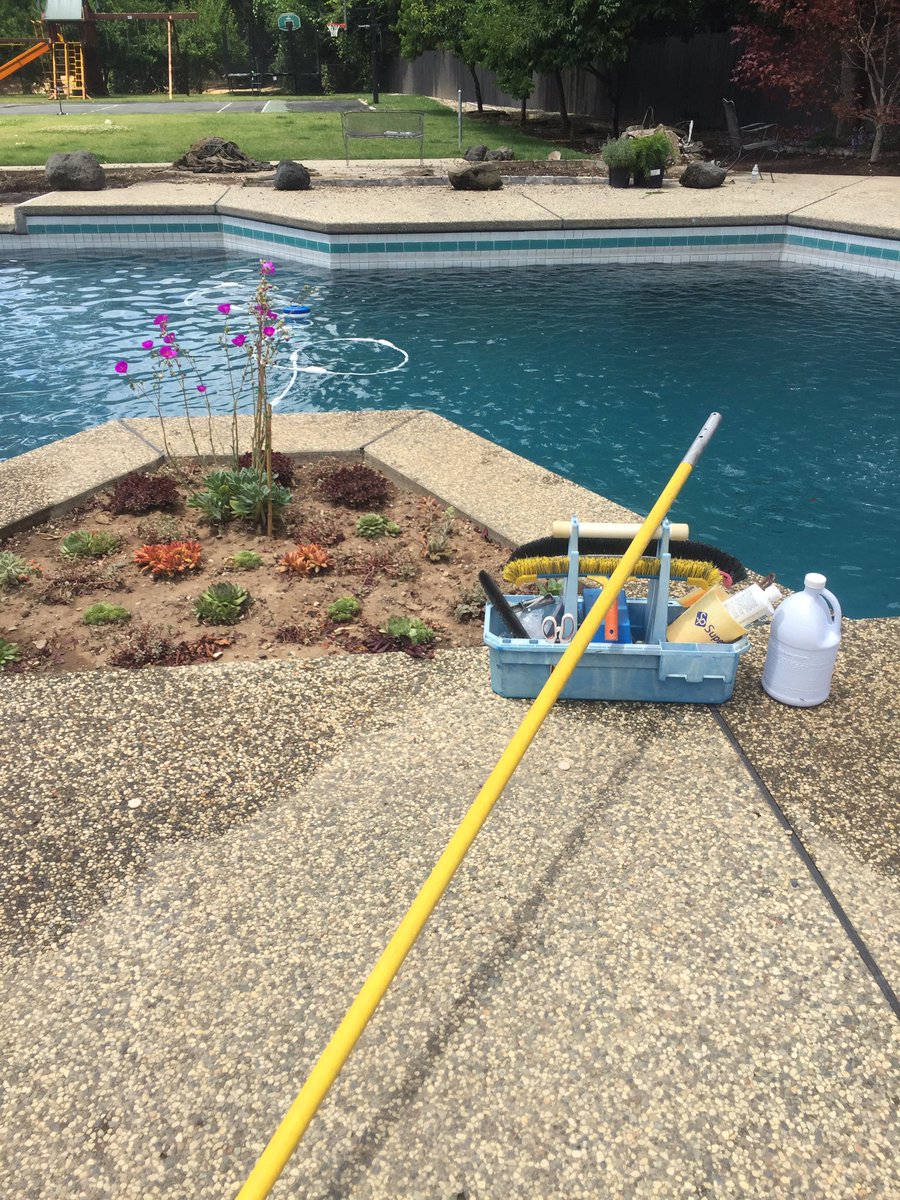 poolppl's tweet image. #PoolPpl