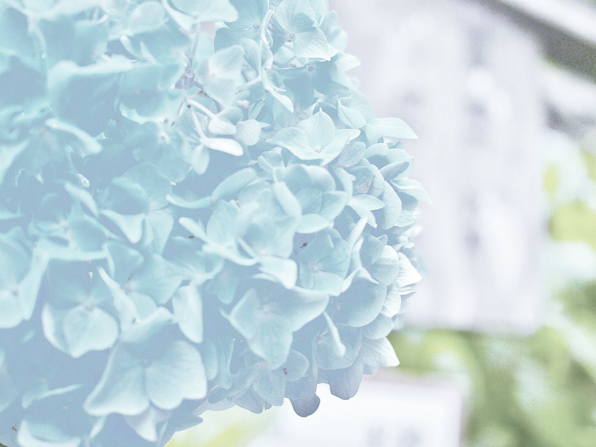 43synchronicity's tweet image. 破壊せよ、とアイラーは言った、、、らしい。
知らんけどw

#photographer 
#写真で伝えたい私の世界
#サブカルチャー
#写真好きな人と繋がりたい 
#写真撮ってる人と繋がりたい
#写真
#しゃしん