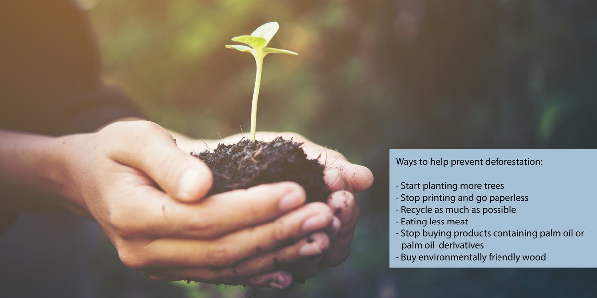 as a consumer your cash dollars is your vote!!! Buy locally and responsible. Be a smart consumer – Our future is in our hands.