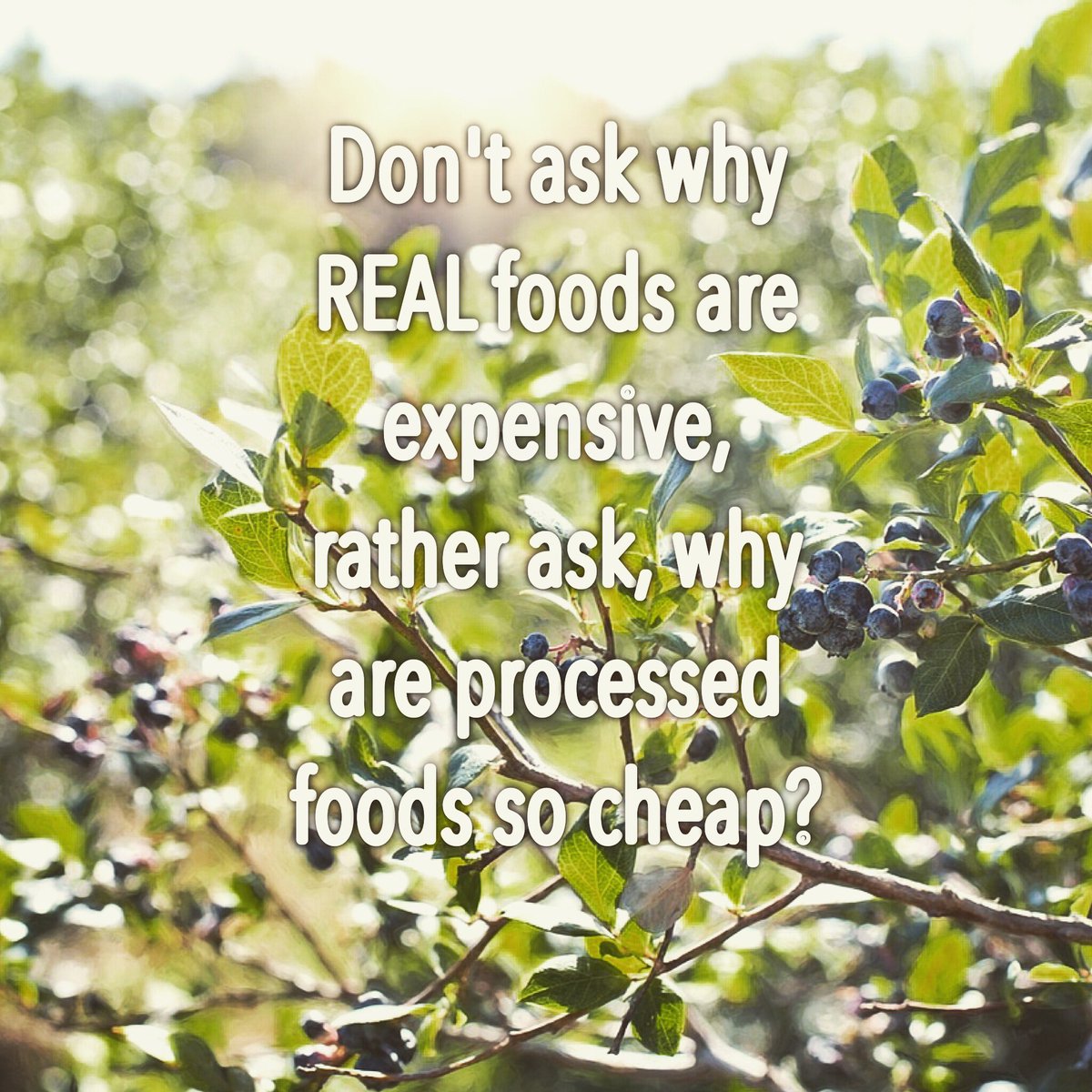 ProperSnacksZA's tweet photo. The quality of your life is determined by the quality of your questions - Tony Robbins #foodforthought #eatclean https://t.co/9oVpYkgFOg