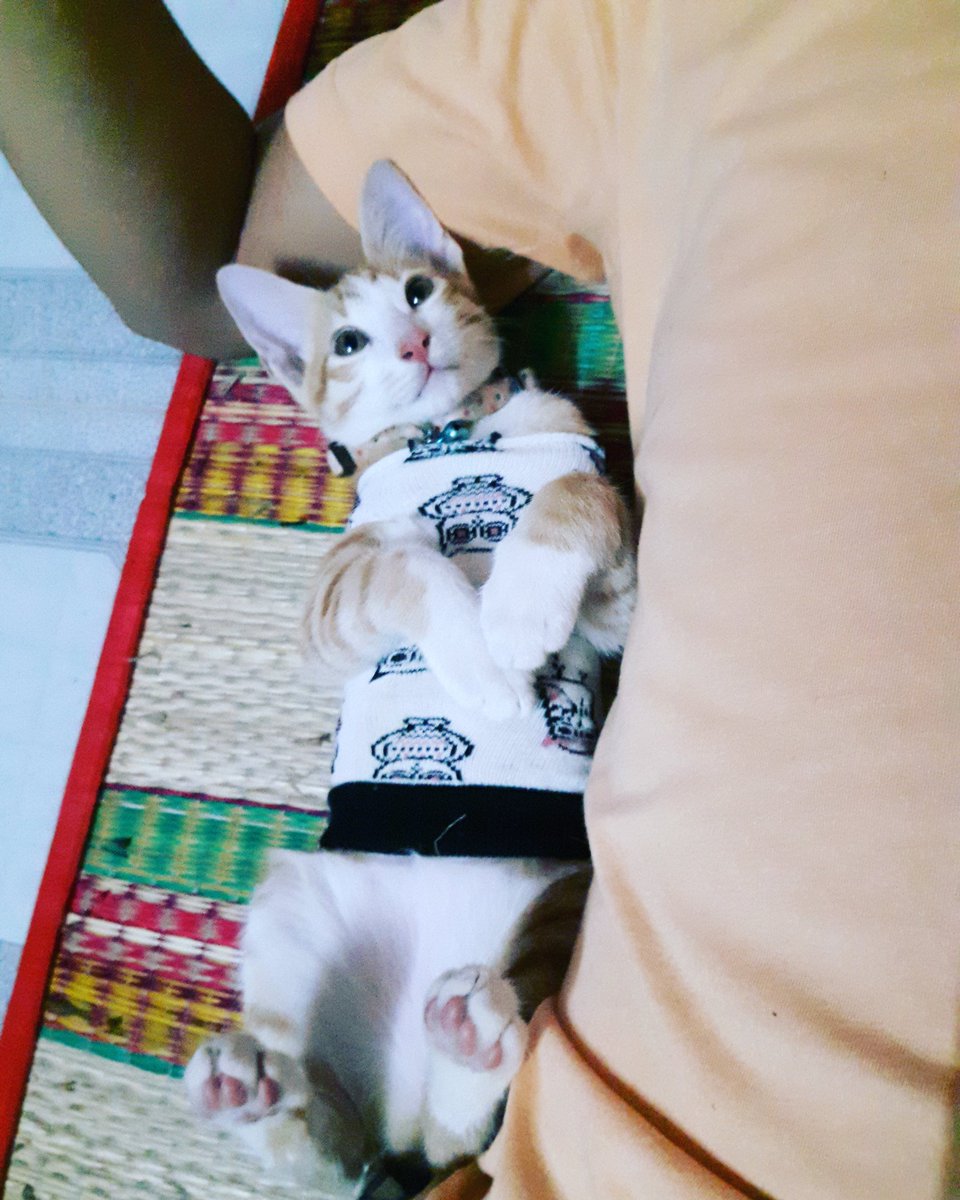 nganbui0510's tweet photo. Sleep <3 https://t.co/b3qcZfYqQA