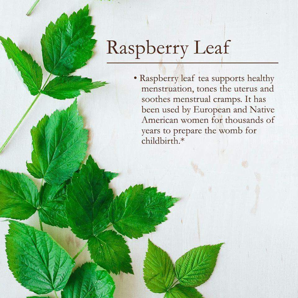 Whitestone1111's tweet image. #InspireYourWellness