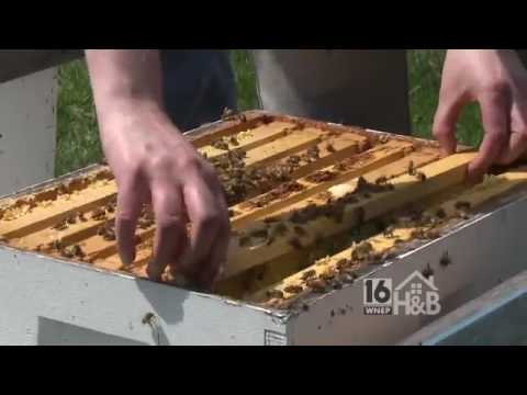 Beekeeping HQ tweet media