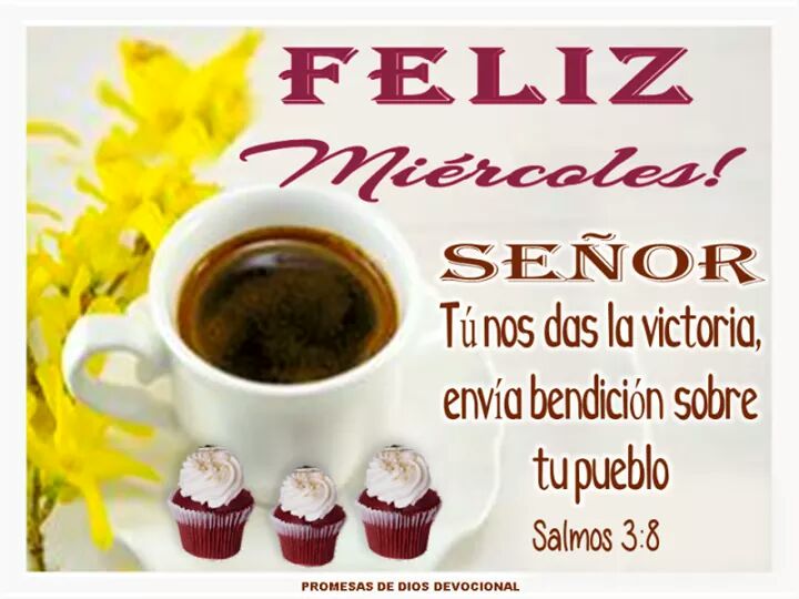 David R. (@david77reyes) on Twitter photo 