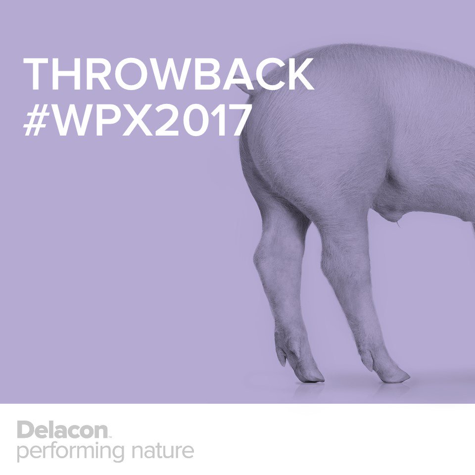 DelaconPhyto's tweet photo. Throwback to #WPX2017: Kevin Adams &amp; Kory Moran informed about #phytogenics #feedadditives https://t.co/DdGnzB2mRX