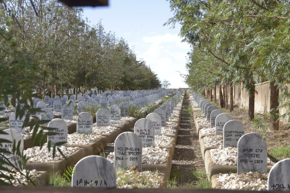 HermonE_J's tweet photo. Rows &amp; rows of headstones as far as Z eye can see of those who gave Zir very lives 4 z cause Zy believed in.Allow ur mind 2 wander #Eritrea https://t.co/mfIHbKymct