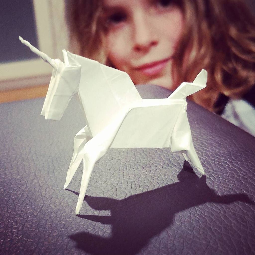 faheyyounger's tweet photo. I live with the Origami King. He's 10. His unicorn is about 2.... in unicorn years. #SpikeRy #Origami #aussieboy #… https://t.co/Dqwabmg33g https://t.co/keNMcAP78K