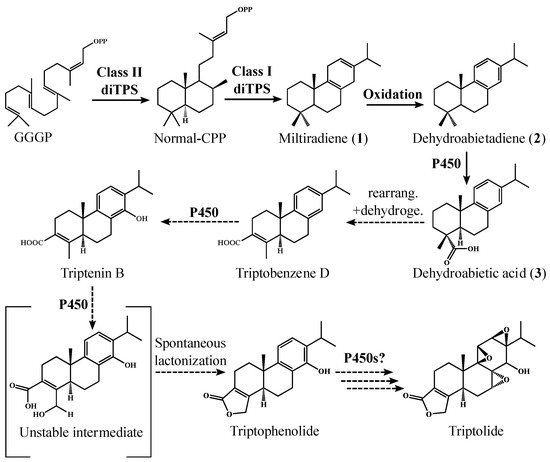 Molecules_MDPI's tweet photo. Production of Putative #Diterpene #Carboxylic #Acid Intermediates of #Triptolide in Yeast 
https://t.co/SF0RnAHQkO https://t.co/d5ecyi2HVp