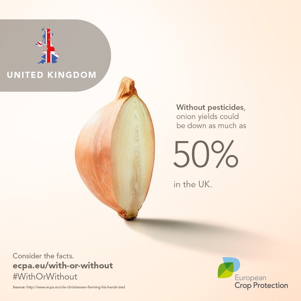 CropLifeEU's tweet photo. Farmers that grow onions have to fight #leafblight, an infection that spreads rapidly. This wouldn't be possible without #pesticides. https://t.co/ziJHdjpzIm