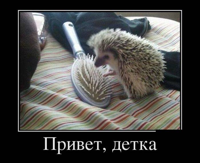 Алла Калита (@allakalita) on Twitter photo 