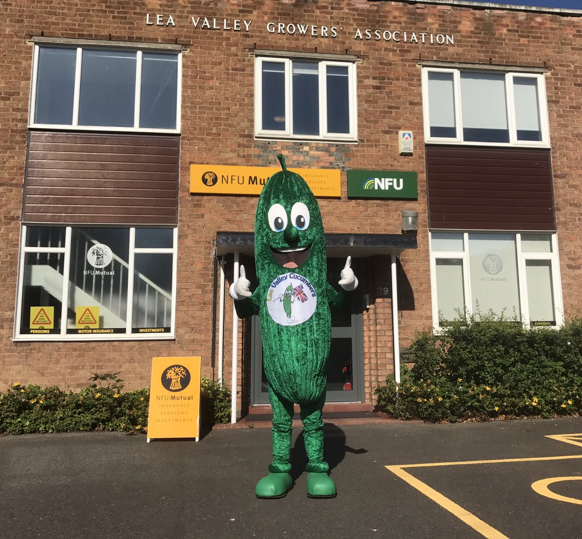 Happy Cucumber Day from the Cucumber Capital of Britain where 75% of the crop is grown #Cucumberday #Worldcucumberday @nfueastanglia <a href="/nfum/">NFU Mutual</a>
