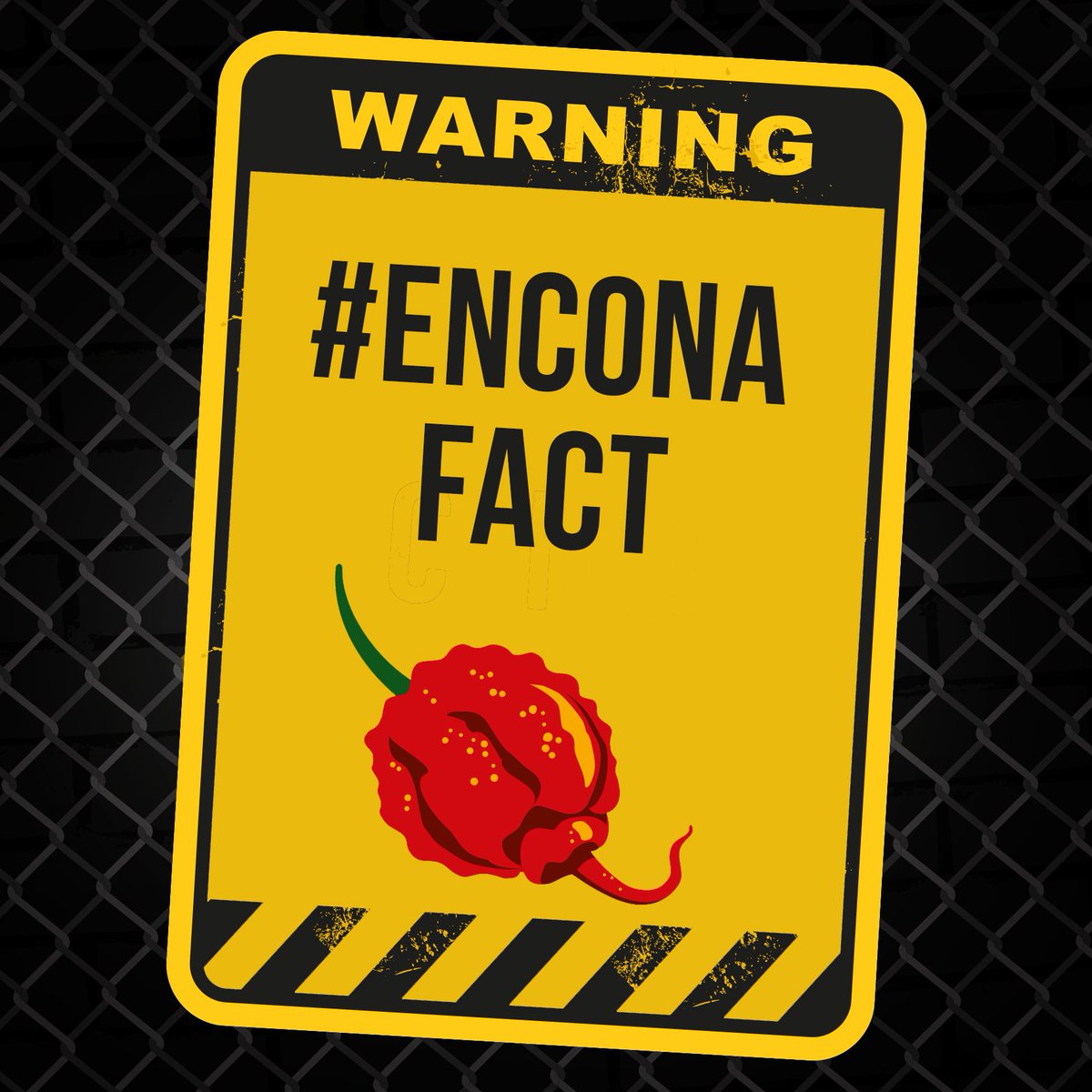 EnconaOfficial's tweet photo. #EnconaFact! Eating #chilli keeps us cool on hot days! Stock up with our #CarolinaReaper sauce before a #BBQ! 😉 https://t.co/ukzOlc5Osl